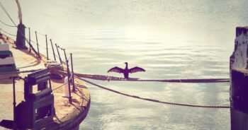 5 Desk Exercises for Professionals Who Sit All Day