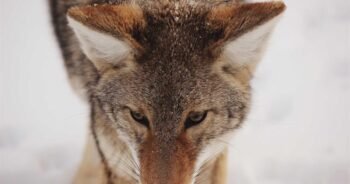 Take Care of Your Body, It’s the Only Place You Have to Live