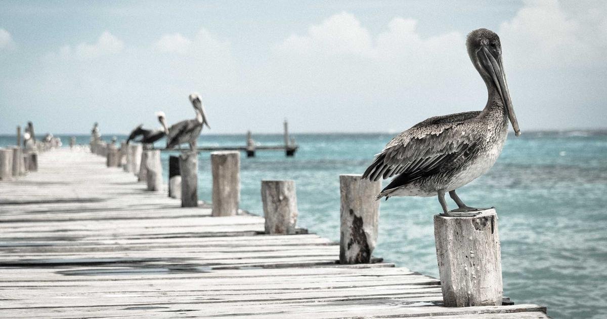 E-Ticaret: E-Ticaret Sitelerinde Dönüşüm Oranını Artıran Sepet Optimizasyonu Stratejileri