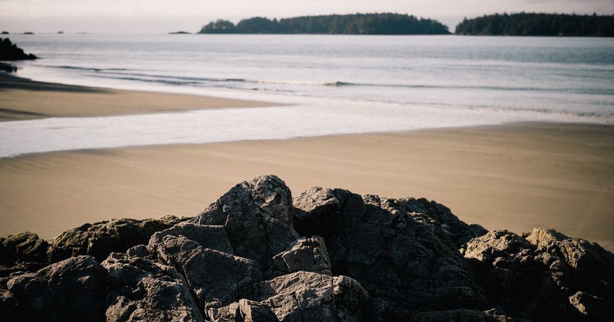 Gastronomi: Yöresel Lezzetlerin Modern Mutfakla Buluşması: Gastronomi Turizminin Yükselişi