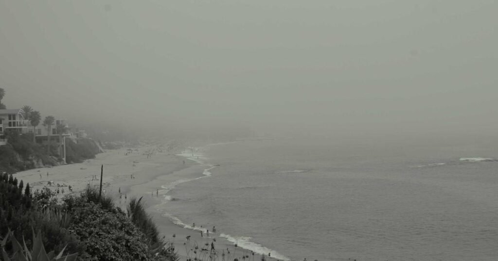 Mindful Living: Simple Ways to Find Peace in a Busy World