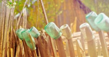 Natural Remedies for Better Digestion and Less Bloating