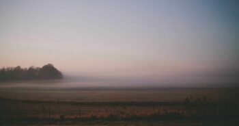 The Hidden Health Benefits of Daily Walking