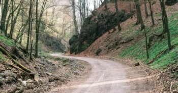 The Impact of Digital Eye Strain and Tips to Protect Your Vision